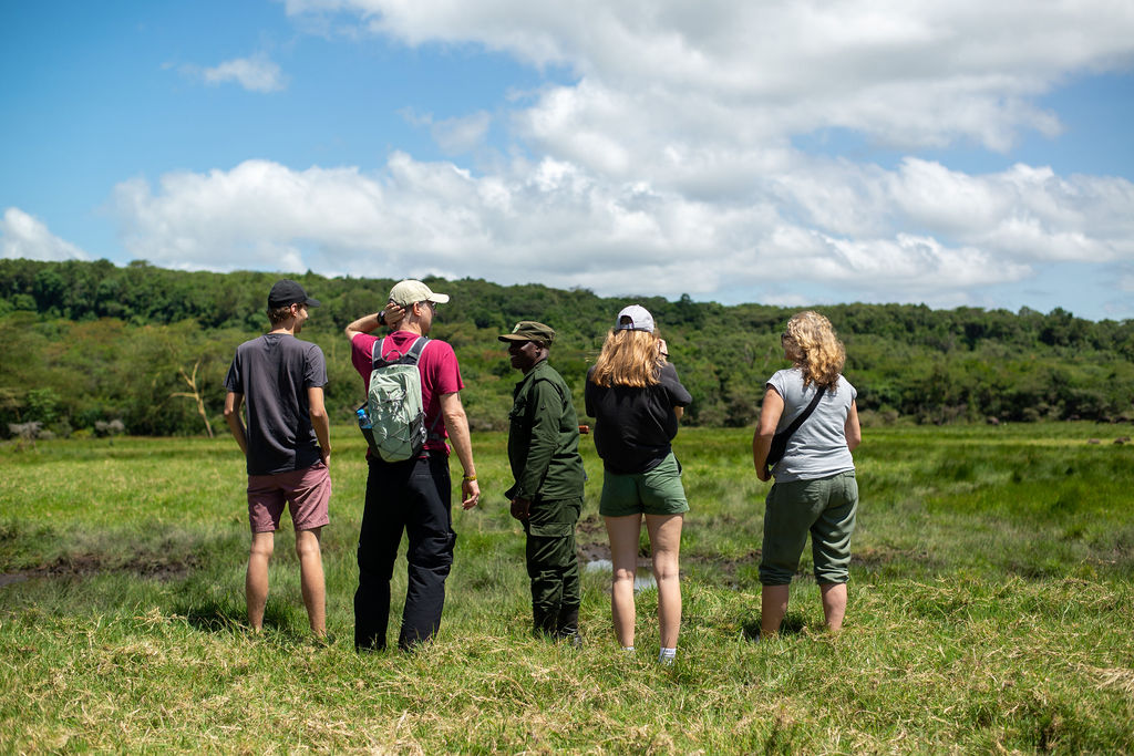 Elephant standing in a lush Tanzania forest