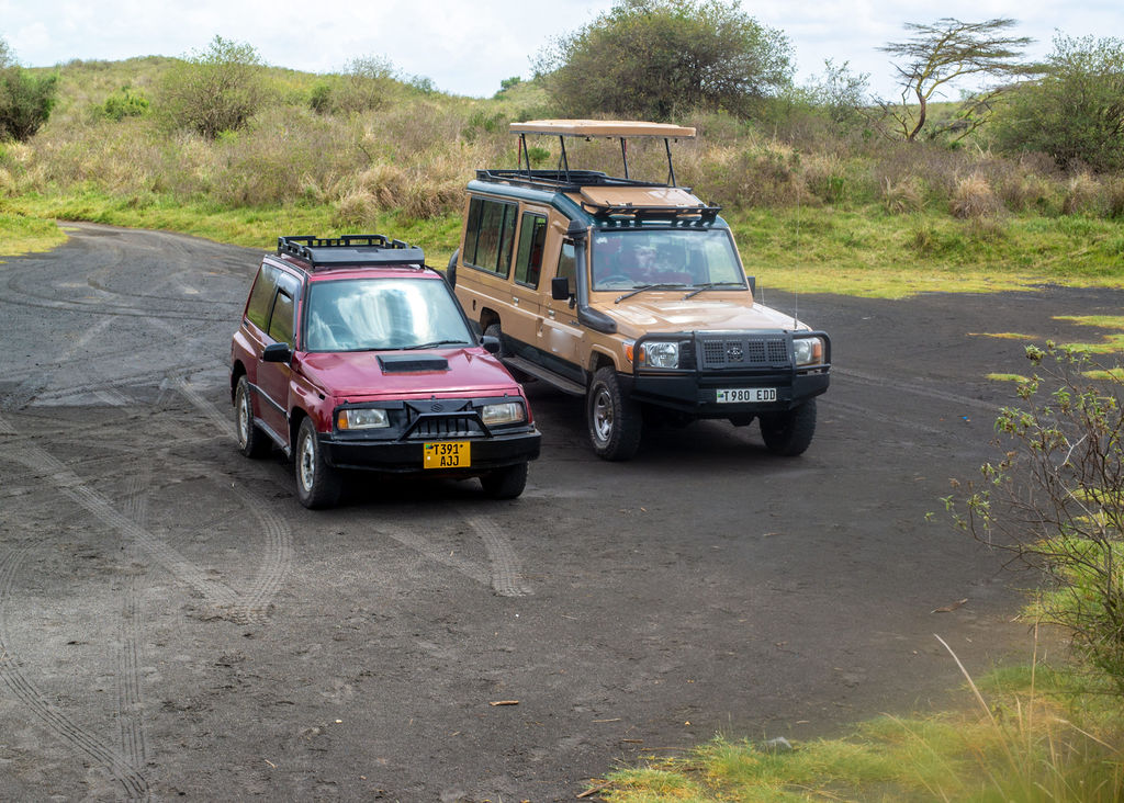 Giraffe framed by a glowing African sunset