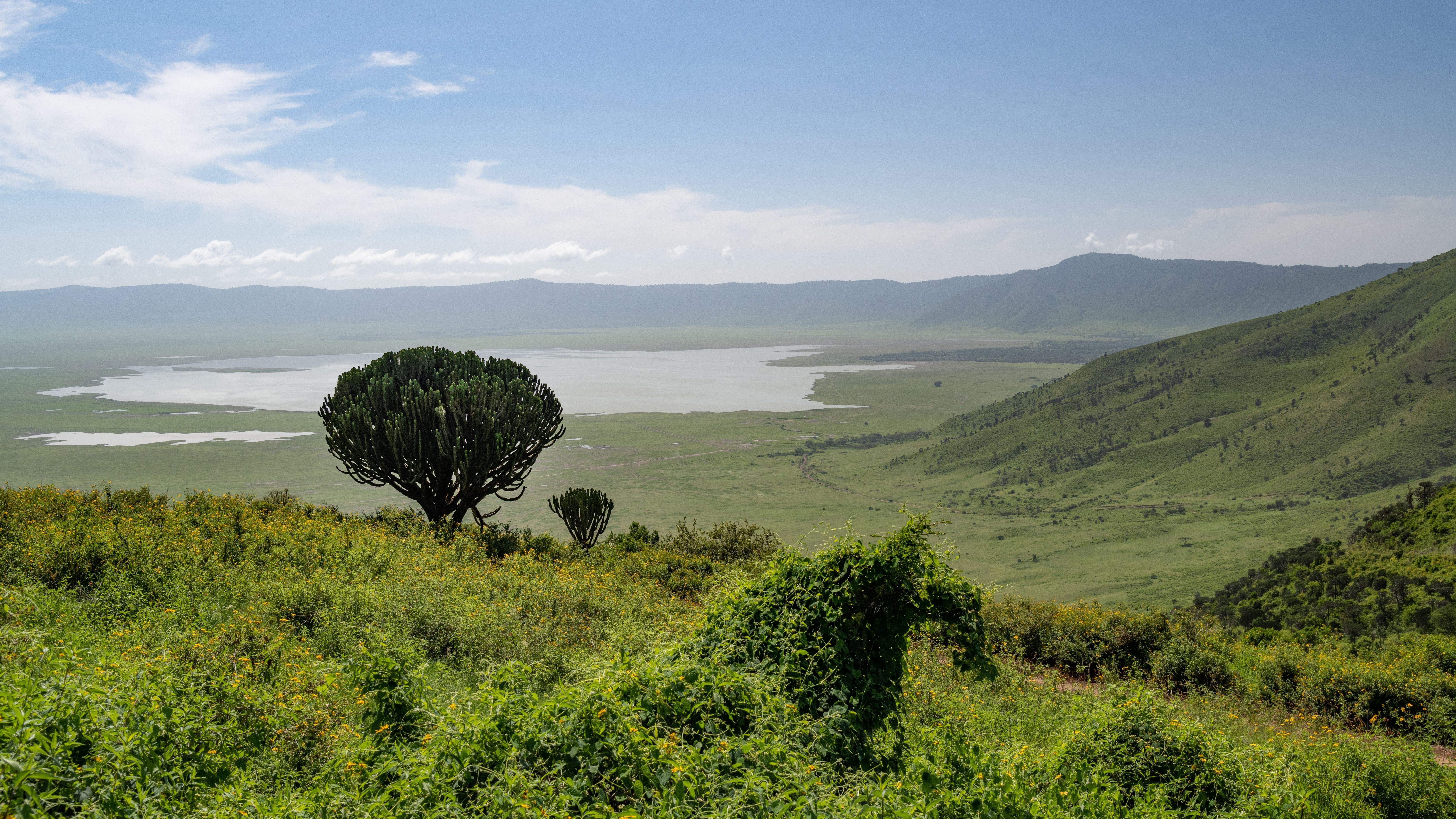 Aerial view over the Ngorongoro Crater landscape