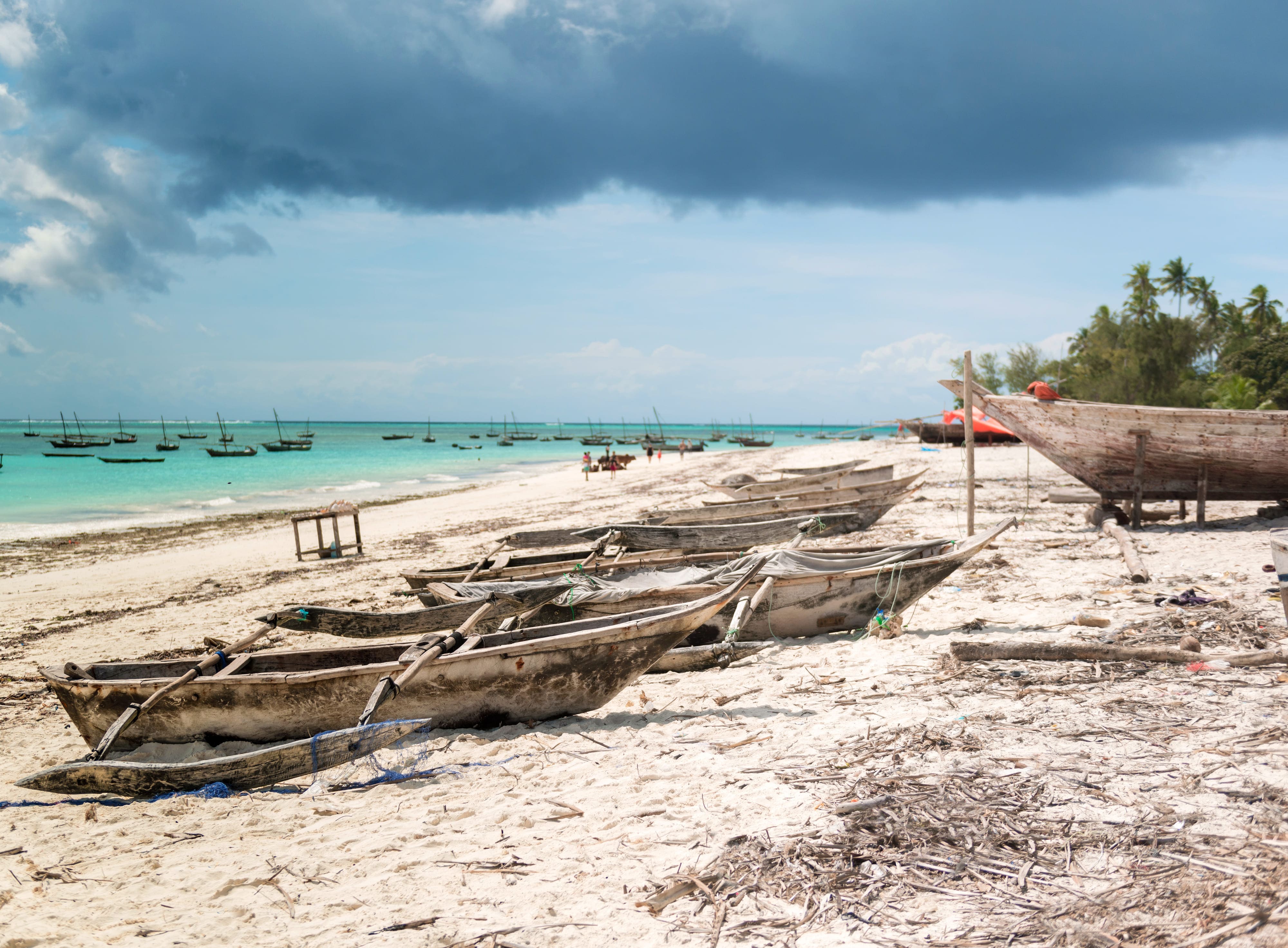 Traditional fishing boats on the Zanzibar shoreline